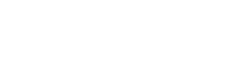 DSD Media Logo